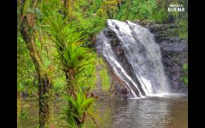 22-7-cascata-bromelias-original.jpg