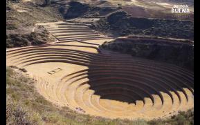 232-6-moray-original.jpg