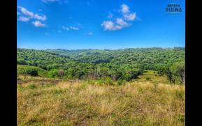 274-1-coxilhas-de-campestre-original.jpg