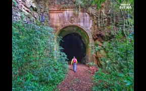 353-3-tunel-y-f-vinho-original.jpg
