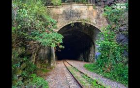 353-7-tunel-y-jaboticaba-original.jpg