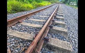 353-8-ferrovia-tronco-sul-original.jpg