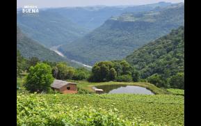 385-5-vale-2-original.jpg